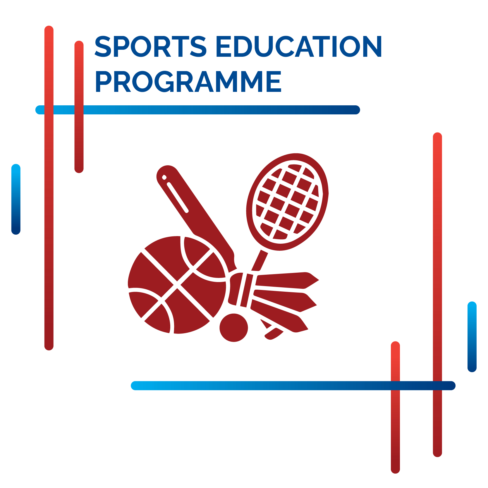 RISC spoerts education programme